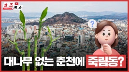 대나무 없는 춘천 죽림동(竹林洞)은 왜 있을까