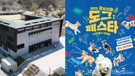 봄이 좋다멍! 춘천 강아지숲 도그페스타 개최
