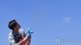 완연한 봄 날씨⋯순간 돌풍 안전사고 주의