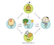 발열·두통·설사...감기 증세와 유사한 리스테리아 식중독