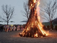 광양시  옥곡면,  정월대보름 맞이 달집태우기 행사 성료