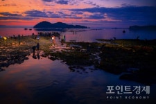 [포토] 진도 신비의 바닷길