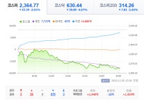[우리 경제] 1년 공들인 밸류업, 계엄 하루에 날려...유학생·여행객도 날벼락
