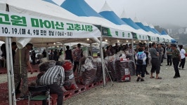 진안고원 마이산 고추시장 8월 4일 개장