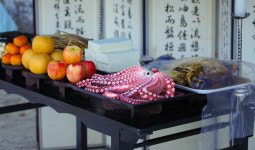 [포토] 울진군, 제49회 성류문화제 개막