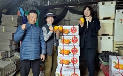 성주군, 용암참외 본격적 출하 격려