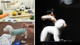 [슬기로운 반려생활] 반려동물 150만 시대, 펫팸족 증가에 관련 산업 매출 껑충