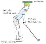 [골린이를 위한 골프상식 & 에티켓-⑳] 프로의 스윙을 탐내지 말라 