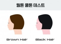 [뷰티라이프] 당신의 퍼스널 컬러는?...나만의 색을 찾아서