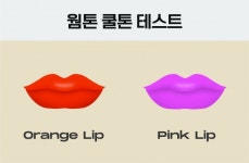 [뷰티라이프] 당신의 퍼스널 컬러는?...나만의 색을 찾아서