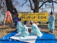 면천은행나무 목신제 봉행