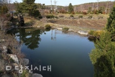 [우리마을 이야기 1] 대호지면 장정리 고래처럼 물 뿜는 고래샘…가뭄에도 끄떡 없었지
