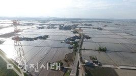 [우리마을 이야기 4] 합덕읍 구양도리삽교천 하구 너른 들판이 펼쳐진 마을