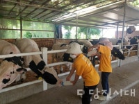 아그로랜드 태신목장에서 생태 체험 활동