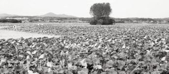 당진시 경제환경국 정례브리핑오봉제 생태공원 및 수당리 자연휴양림 추진