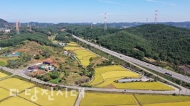 [우리마을 이야기 14] 정미면 사관리, 솔바람길 따라 솔내음 퍼지는 선비마을