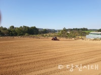 우리 들녘에서 우리밀 생산…밀밭 관광자원으로