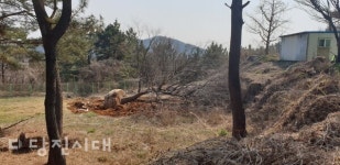 당진축협,  관광농원 나무 굴취·반출 건으로 경찰 조사