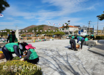 [새마을 소식]