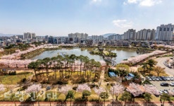 당진호수공원 시민 공청회 핵심 포인트 살펴보기 호수공원 수청동·우두동·시곡동 중 어디에?