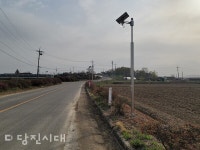 신평면 신송1리  110그루 매실나무 어디로 갔나