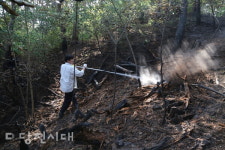 원당동 야산 산불 2시간 만에 진화
