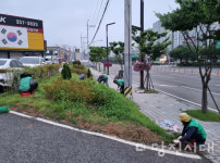 새마을 소식
