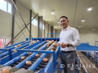 가락동이 주목하는 당진양파…그 비결은?