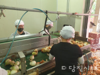 가락동이 주목하는 당진양파…그 비결은?