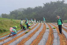 새마을소식 (1471호 9.11발행)