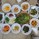 [맛집] 순성면 봉소리 불빛가든  오늘 식사는 오리고기로 샤브샤브 어때요?