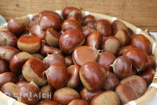 가을햇살 담은 당진 농부들의 장터 당장