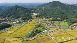 [우리마을 이야기 8] 면천면 송학1리 울창한 소나무 숲에 학이 날아든 아늑한 마을