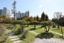[우리마을 이야기 9] 당진3동 원당5통   당진의 강남 8학군? 학교와 공원까지…최고의 입지