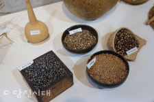 토종씨앗 가치 알리는 우리씨앗연구소 개소