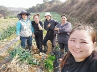 [대호지농협 공공형 계절근로자 인력운영센터] 농가 일손 도울 몽골 계절근로자 중개