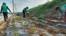 당진 새마을 소식 (2024.05.20)