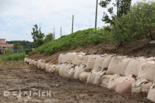 [호우피해 현장 르포] 역류한 하천에 침수…물에 둥둥 뜬 소 (읍면 및 농경지)