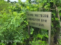 [호우피해 현장 르포] 역류한 하천에 침수…물에 둥둥 뜬 소 (읍면 및 농경지)