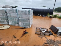 [호우피해 현장 르포] 역류한 하천에 침수…물에 둥둥 뜬 소 (읍면 및 농경지)