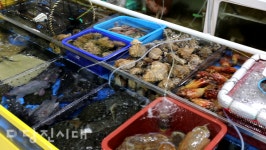 [우리마을 이야기 8] 석문면 장고항2리 도깨비불이 출몰했다던 당산