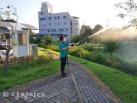 당진 새마을 소식 (2024년 9월 9일)