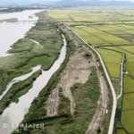축구장 25개 면적 갈대가 사라졌다