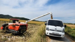 당진 새마을 소식 영농사업 벼, 들깨 수확
