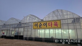 [신설상가] 이순이 다육 (송산면 당산리)  김성수·이순이 대표    다육이로 제2의 인생을 키워요!