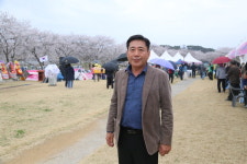 궂은 날씨에도 활짝 핀 당진순성벚꽃 축제