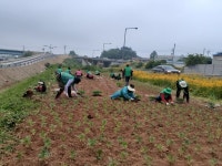행복한공동체만들기 밑반찬 나눔활동