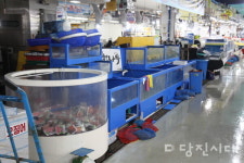 ■ 침수 피해 현장을 가다(당진시장)  생선은 썩고 냉동고는 멈췄다…반복된 침수에 절망하는 상인들