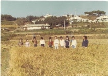 [우리마을이야기 III ]②- 송악읍 반촌2리, 반짝반짝 반짝이는 마을 반촌2리