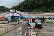 용연유치원 50명, 혜성유·기지유·수청초병설유에 배치